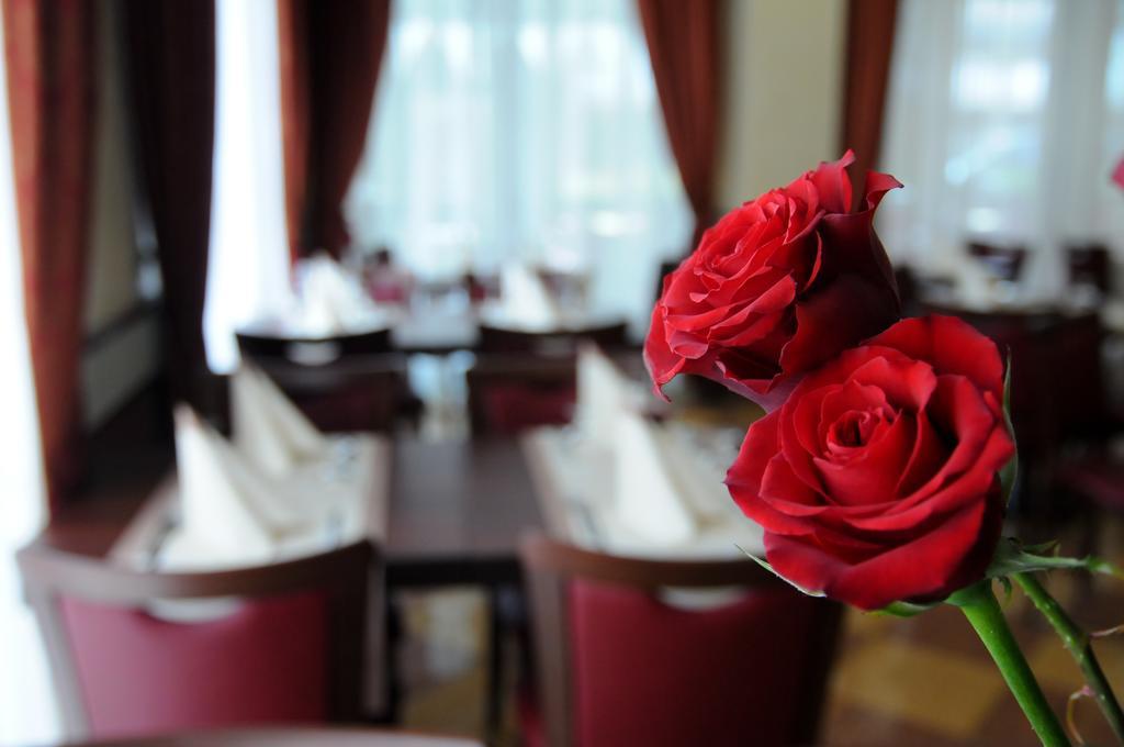 Hotel Dei Platani Rimini Dış mekan fotoğraf