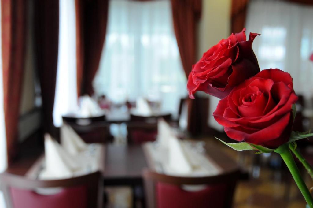 Hotel Dei Platani Rimini Dış mekan fotoğraf