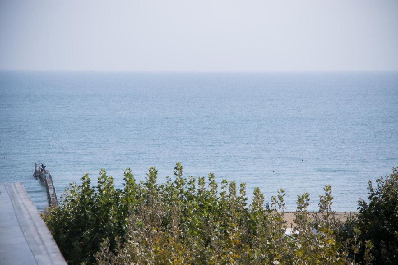 Hotel Dei Platani Rimini Dış mekan fotoğraf